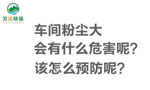 車間粉塵大會(huì)有什么危害呢？該怎么預(yù)防呢？